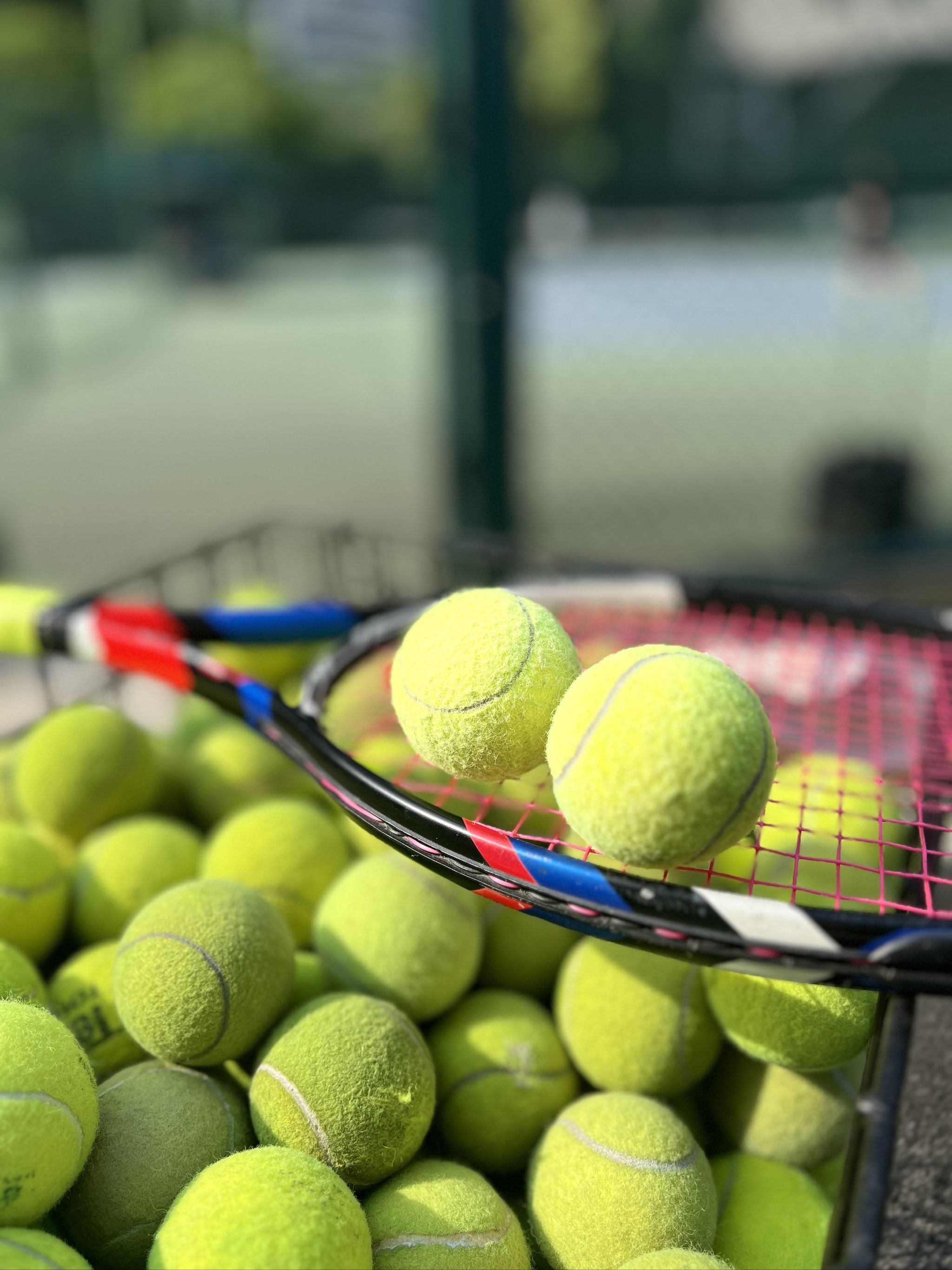 一枚总冠军 一枚总冠军