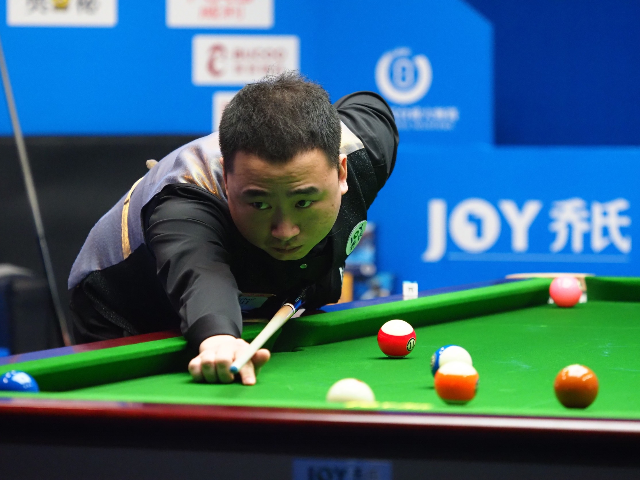 重营养的补 重营养的补